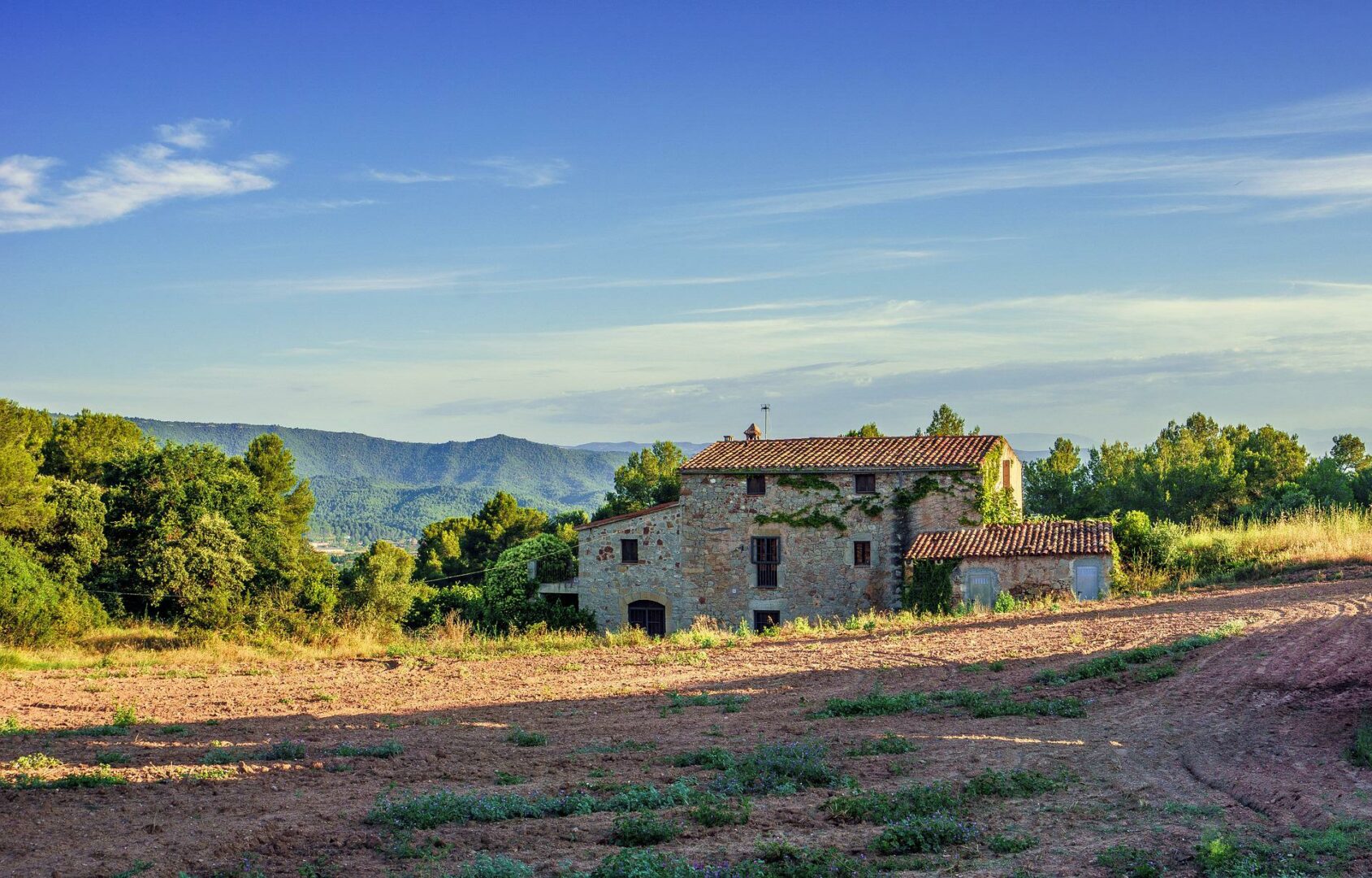 Your guide to discovering 6 best wine regions of Spain - 2026 - 13 - wine regions of spain, rioja, spain wine regions, ribera del duero wine, valencia, catalonia, andalucia wine regions of spain, rioja, spain wine regions, ribera del duero wine, valencia, catalonia, andalucia - Your guide to discovering 6 best wine regions of Spain - 2026 - 12