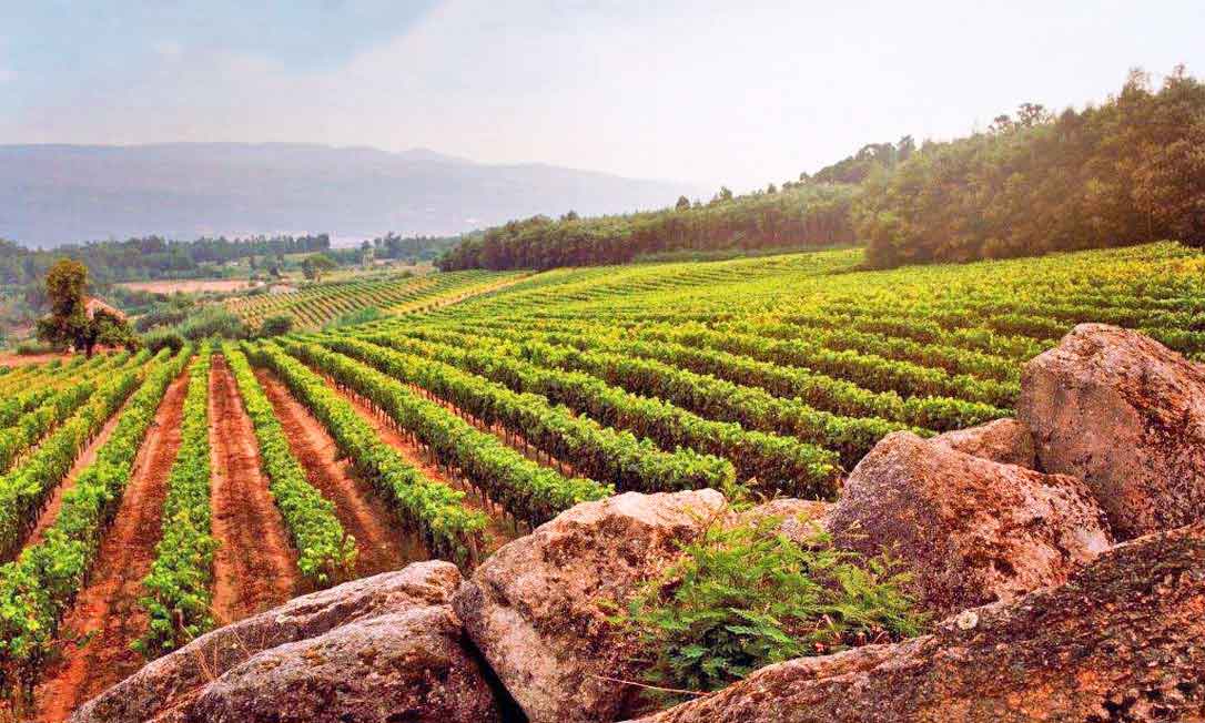 Discover the best wine regions in Portugal - 2026 - 18 - portugal wine regions, madeira wine, dao wine region, algarve wine region, alentejo wine region, lisbon wine region, vinho verde wine region, douro valley portugal wine regions, madeira wine, dao wine region, algarve wine region, alentejo wine region, lisbon wine region, vinho verde wine region, douro valley - Discover the best wine regions in Portugal - 2026 - 17