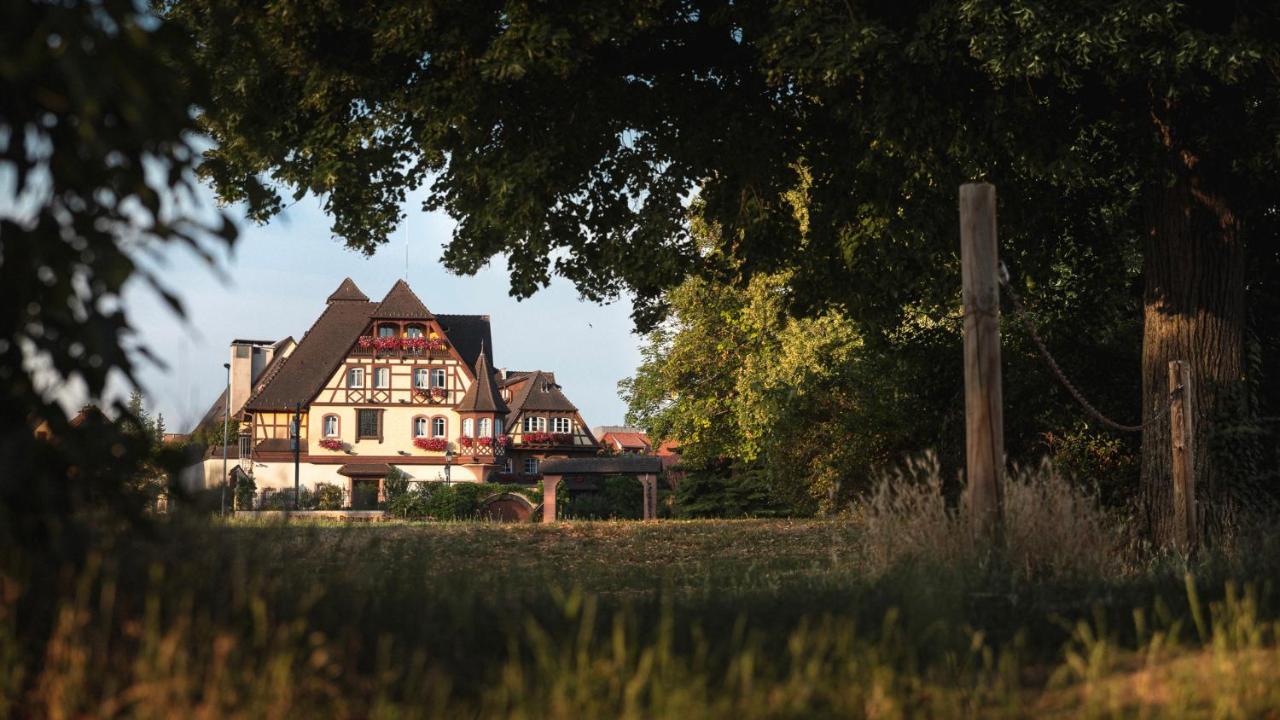 Route des vins d’Alsace : Carte et Itinéraire 3 jours - 2026 - 7 - route des vins, alsace route des vins, alsace - Route des vins d’Alsace : Carte et Itinéraire 3 jours - 2026 - 6