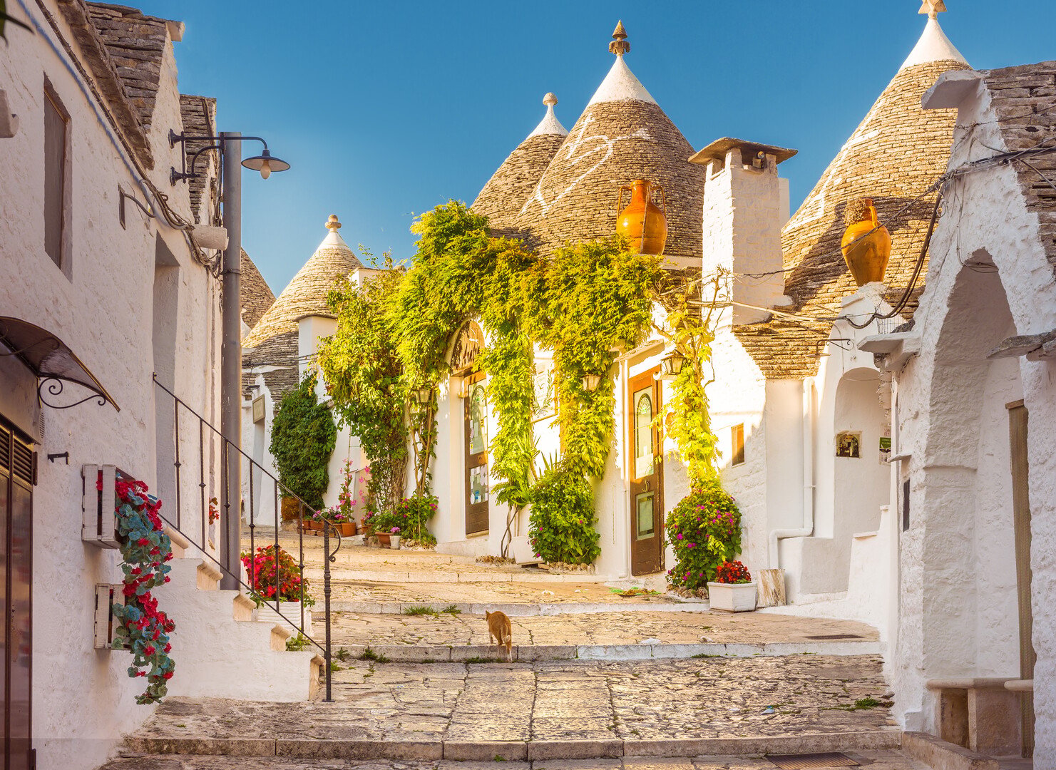 Best Things to Do in Bari Italy: Uncover the City - 2026 - 34 - things to do in bari things to do in bari - Best Things to Do in Bari Italy: Uncover the City - 2026 - 33