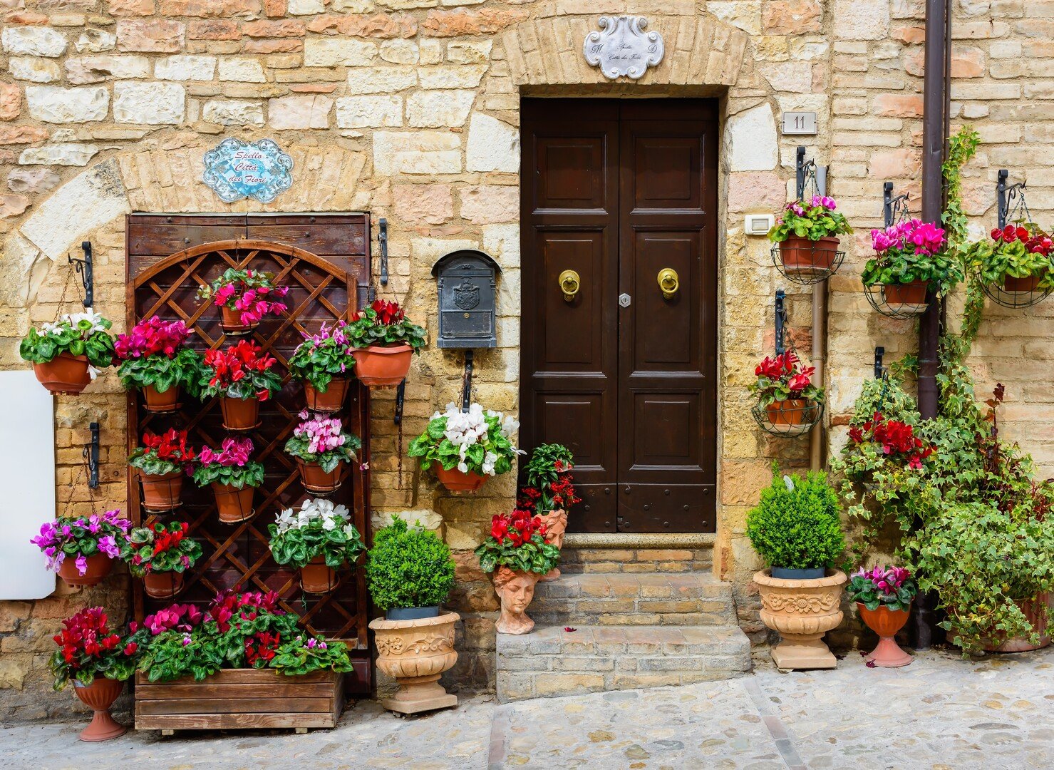 Cosa vedere ad Assisi: tra Arte, Cultura e Vino - 2026 - 14 - cosa vedere ad assisi, visitare assisi cosa vedere ad assisi, visitare assisi - Cosa vedere ad Assisi: tra Arte, Cultura e Vino - 2026 - 13