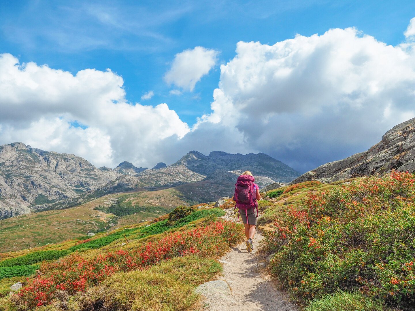 Cosa vedere in Corsica: guida alle migliori attrazioni dell'isola - 2026 - 28 - cosa vedere in corsica,visitare la corsica cosa vedere in corsica,visitare la corsica - Cosa vedere in Corsica: guida alle migliori attrazioni dell'isola - 2026 - 27