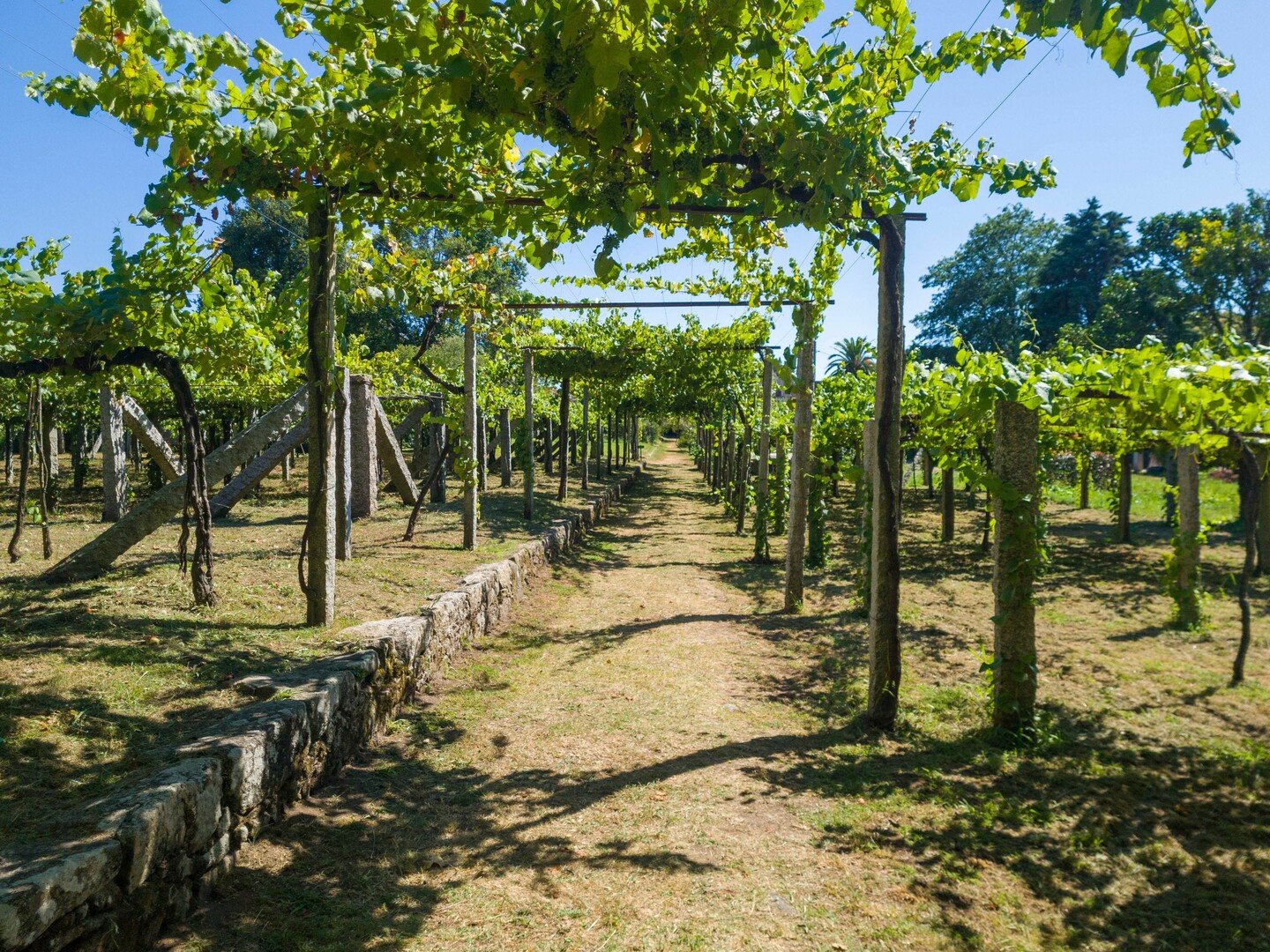 Discover the amazing Guimarães: Portugal's Birthplace - 2026 - 22 - what to do in guimaraes portugal what to do in guimaraes portugal - Discover the amazing Guimarães: Portugal's Birthplace - 2026 - 21