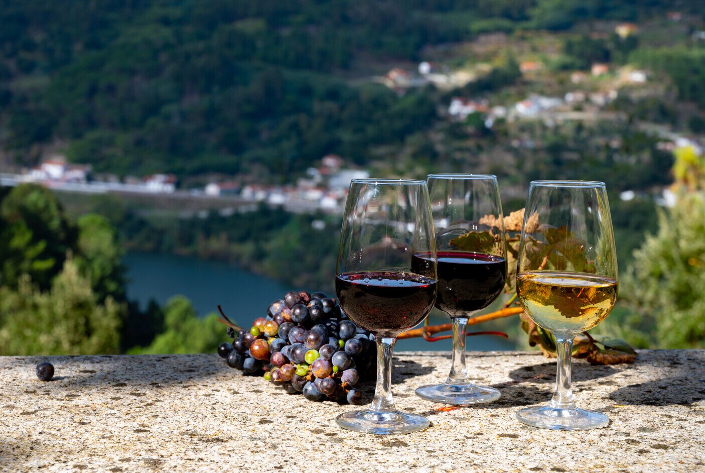 What To Do in Douro Valley ? The Ultimate Guide - 2026 - 6 - what to do in douro valley what to do in douro valley - What To Do in Douro Valley ? The Ultimate Guide - 2026 - 5
