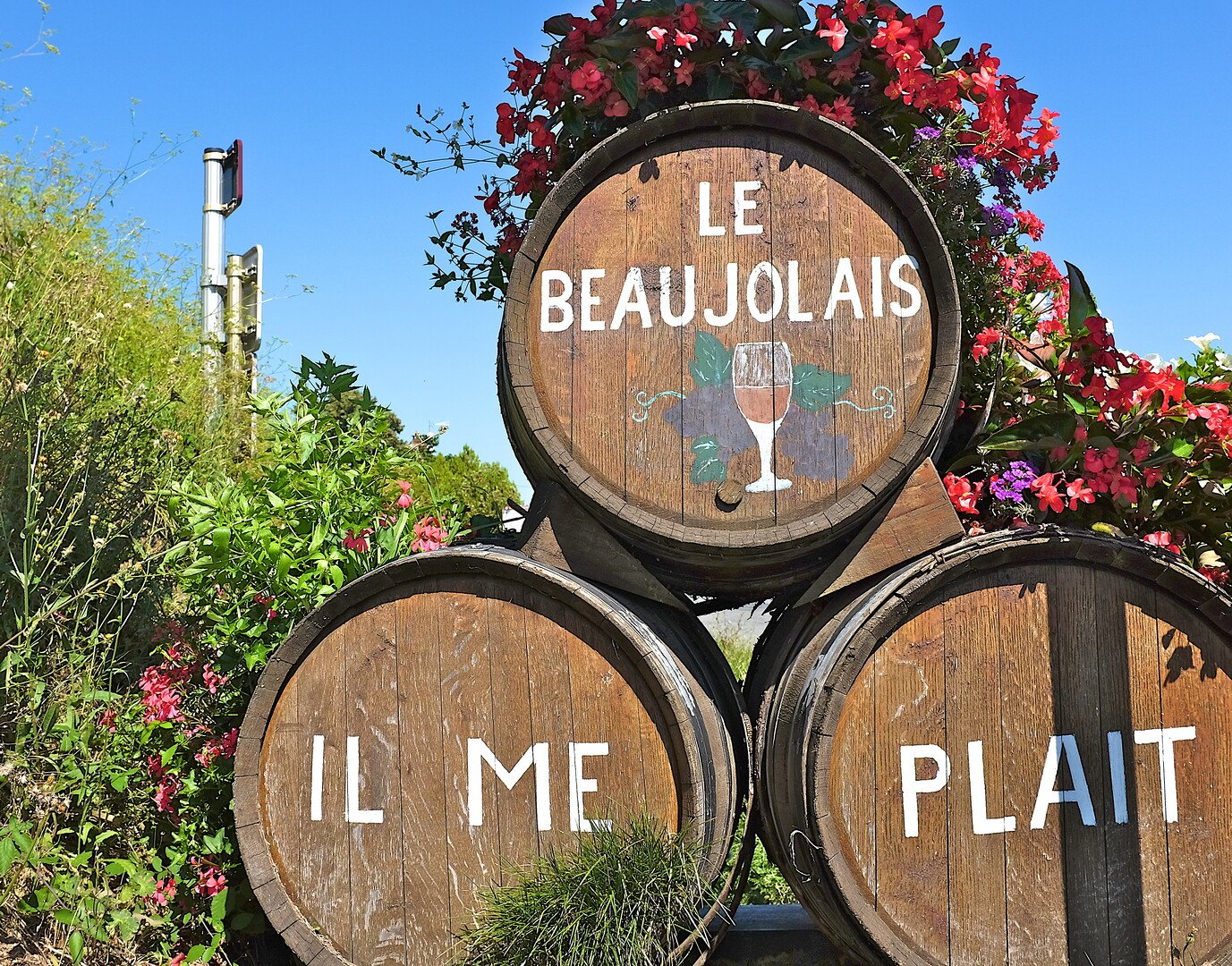 Découvrez les meilleurs vins à offrir en cadeau pour faire plaisir - 2026 - 8 - vins à offrir vins à offrir - Découvrez les meilleurs vins à offrir en cadeau pour faire plaisir - 2026 - 7