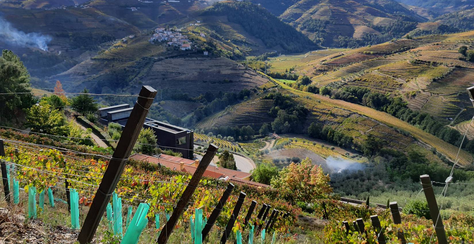 What to Do in Vila Real: Top Itinerary Highlights - 2026 - 8 - what to do in vila real what to do in vila real - What to Do in Vila Real: Top Itinerary Highlights - 2026 - 7