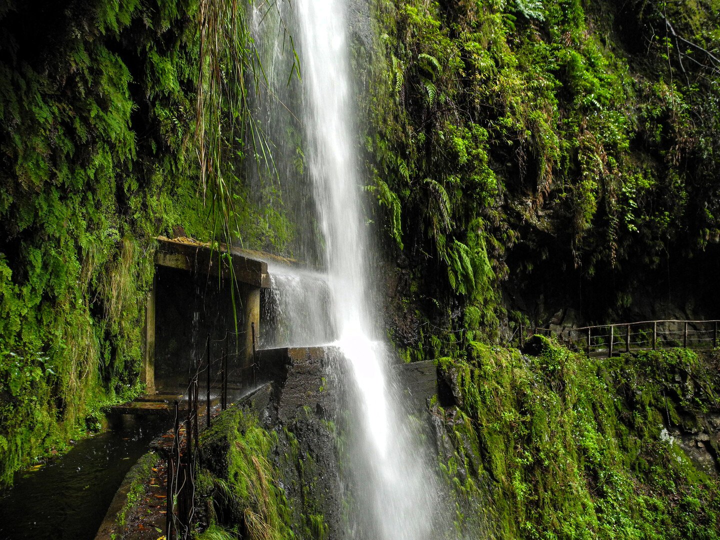 Visit Porto Moniz and Dive Into Madeira’s Natural Wonders - 2026 - 18 - visit Porto Moniz visit Porto Moniz - Visit Porto Moniz and Dive Into Madeira’s Natural Wonders - 2026 - 17