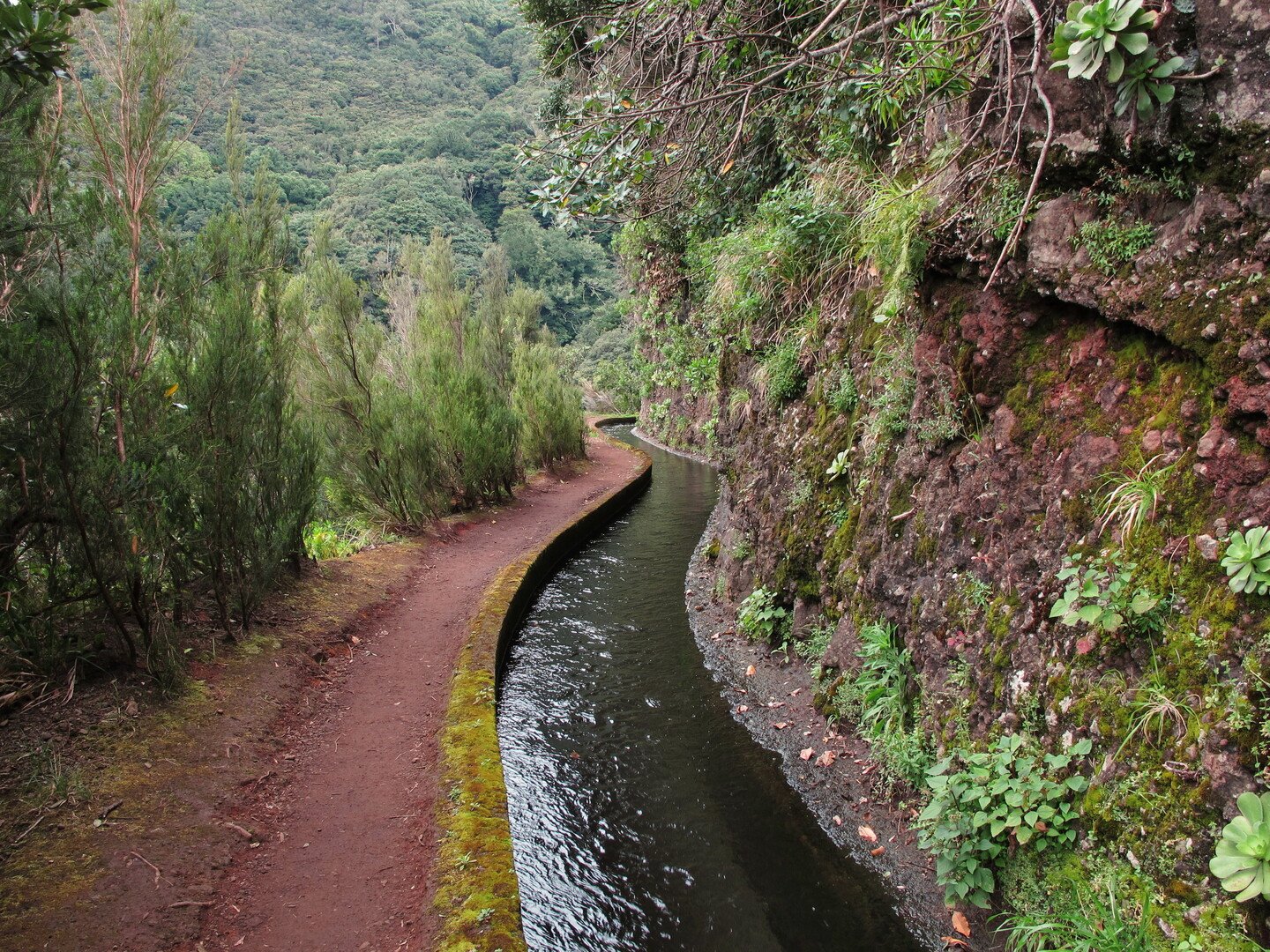 Visit Porto Moniz and Dive Into Madeira’s Natural Wonders - 2026 - 32 - visit Porto Moniz visit Porto Moniz - Visit Porto Moniz and Dive Into Madeira’s Natural Wonders - 2026 - 31