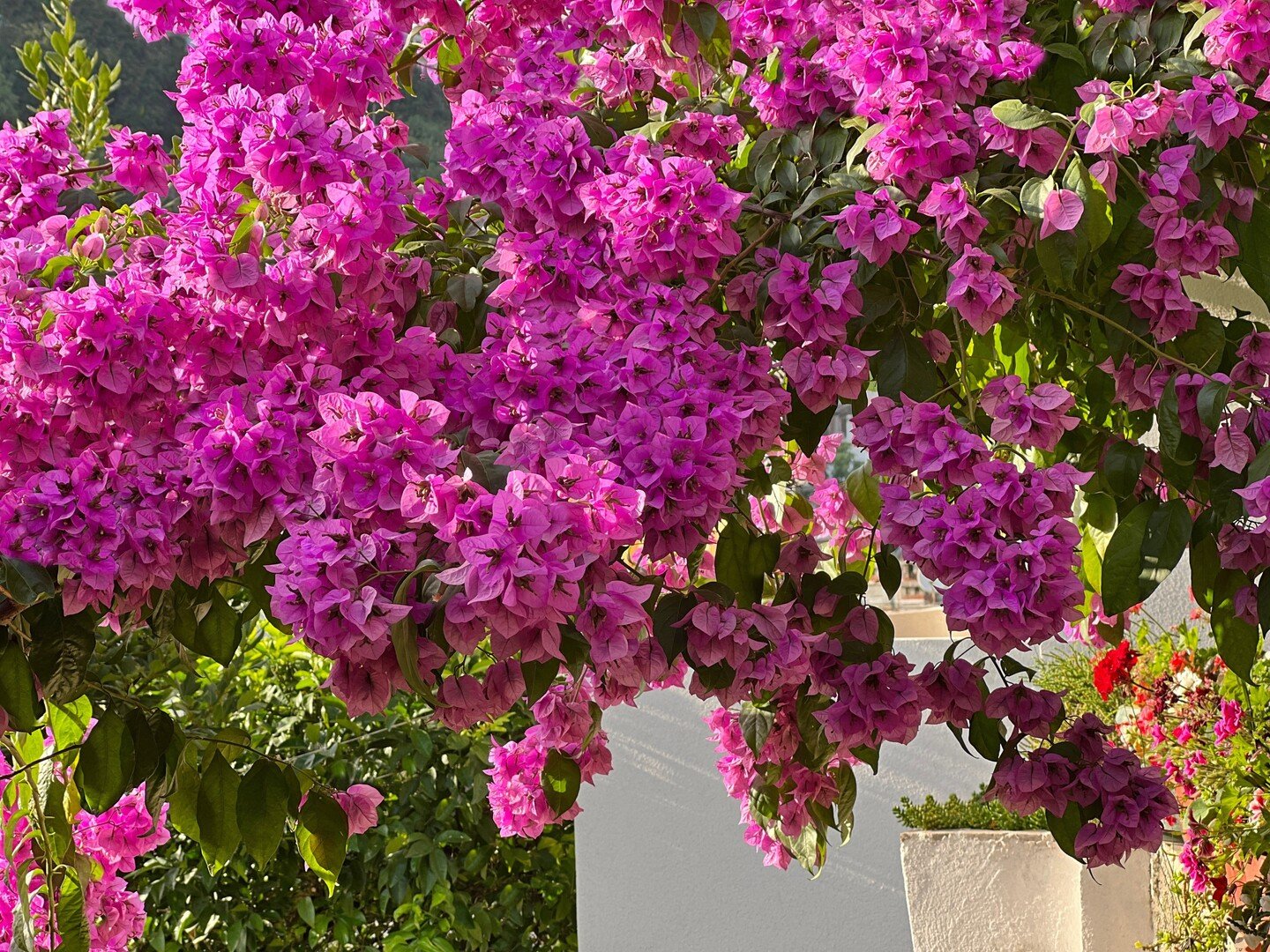 Visiter Marbella : le guide pour planifier votre voyage - 2026 - 22 - Marbella Marbella - Visiter Marbella : le guide pour planifier votre voyage - 2026 - 21