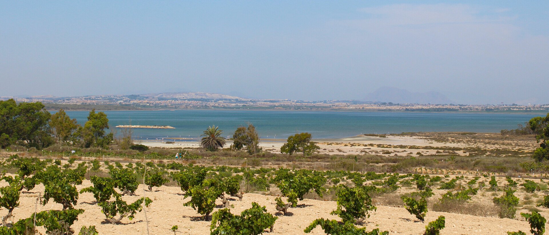 Visiter Torrevieja : Guide complet pour découvrir cette perle de la Costa Blanca - 2026 - 10 - torrevieja torrevieja - Visiter Torrevieja : Guide complet pour découvrir cette perle de la Costa Blanca - 2026 - 9