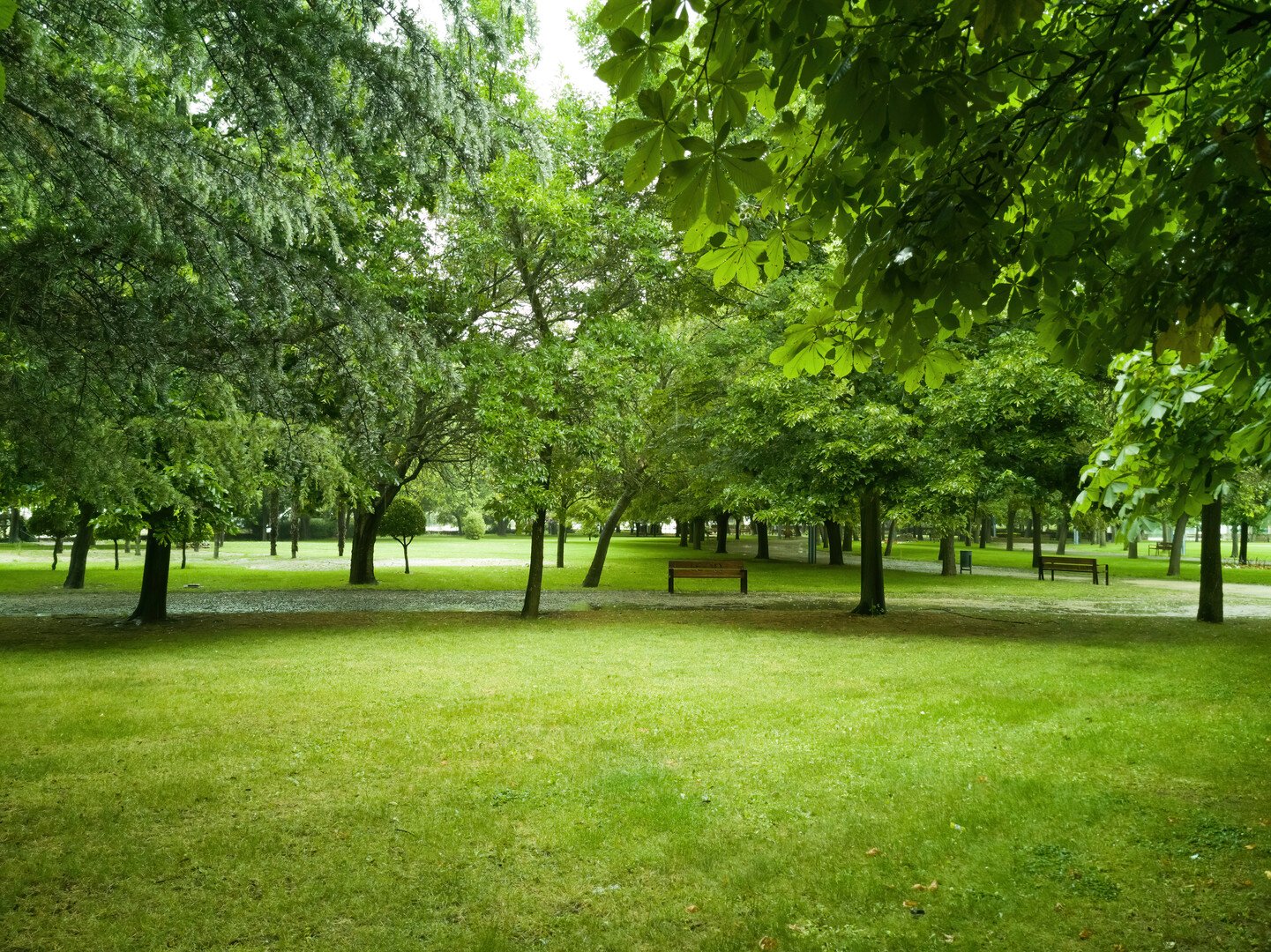 Best Things to Do in Torrelavega: A Complete Travel Guide - 2026 - 8 - things to do in torrelavega things to do in torrelavega - Best Things to Do in Torrelavega: A Complete Travel Guide - 2026 - 7