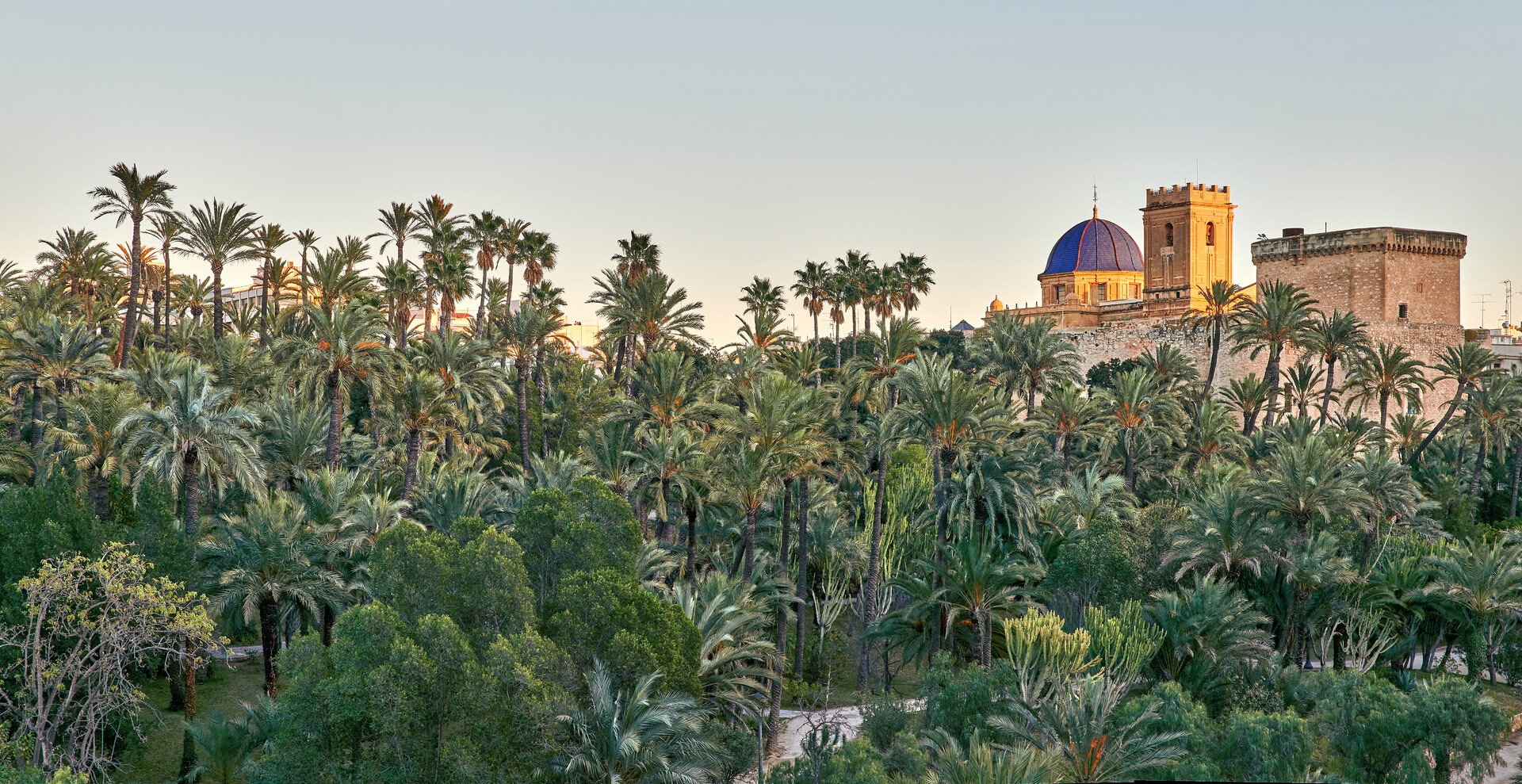 Visiter Torrevieja : Guide complet pour découvrir cette perle de la Costa Blanca - 2026 - 18 - torrevieja torrevieja - Visiter Torrevieja : Guide complet pour découvrir cette perle de la Costa Blanca - 2026 - 17