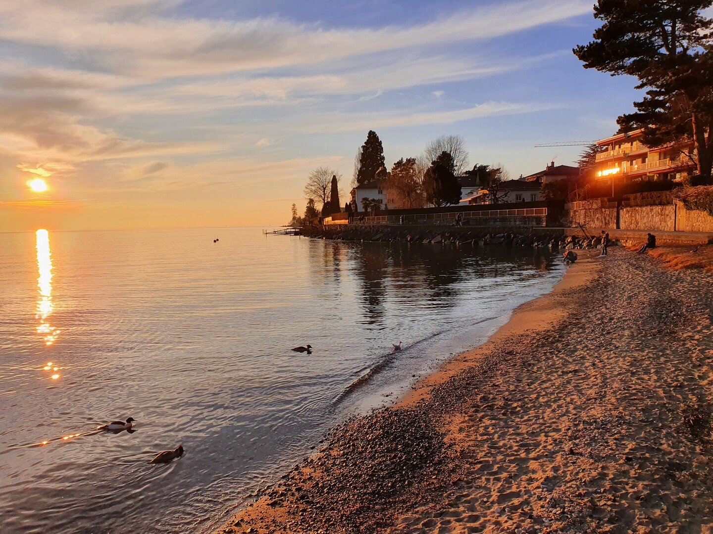 Best Things to do in Lausanne Switzerland: The Travel Guide - 2026 - 14 - things to do in Lausanne things to do in Lausanne - Best Things to do in Lausanne Switzerland: The Travel Guide - 2026 - 13