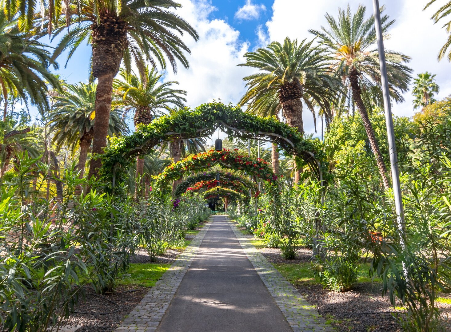 Best Things to Do in Santa Cruz de Tenerife: Must-See Activities - 2026 - 14 - things to do in santa cruz de tenerife things to do in santa cruz de tenerife - Best Things to Do in Santa Cruz de Tenerife: Must-See Activities - 2026 - 13