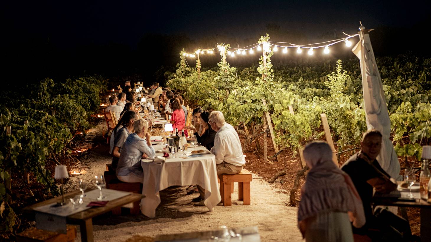 Visiter Monopoli : Entre mer, remparts et vignobles - 2026 - 26 - monopoli monopoli - Visiter Monopoli : Entre mer, remparts et vignobles - 2026 - 25