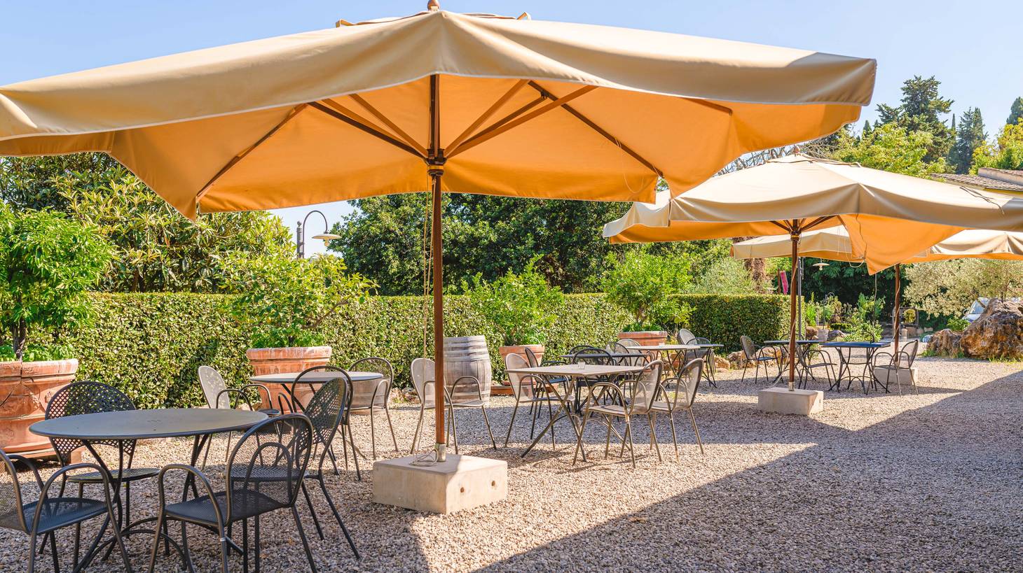 Unforgettable Things to Do in Volterra: An Essential Travel Guide - 2026 - 20 - Things to Do in Volterra Things to Do in Volterra - Unforgettable Things to Do in Volterra: An Essential Travel Guide - 2026 - 19