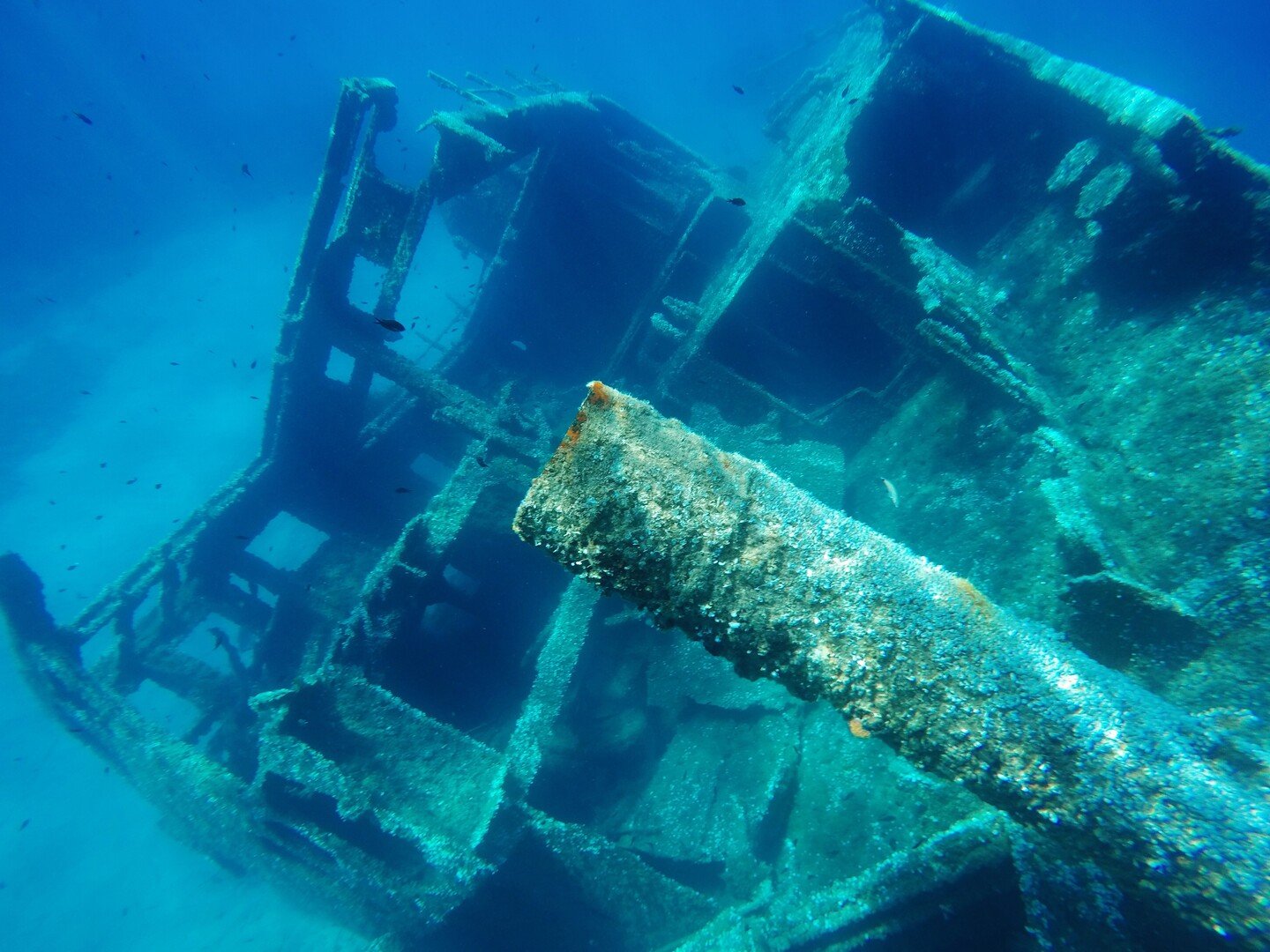 Visit Elba Island Italy: All You Must Know - 2026 - 10 - visit elba island visit elba island - Visit Elba Island Italy: All You Must Know - 2026 - 9