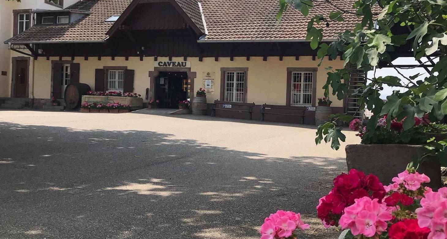Les meilleurs bars à vin Colmar : Adresses incontournables - 2026 - 12 - bars à vin Colmar bars à vin Colmar - Les meilleurs bars à vin Colmar : Adresses incontournables - 2026 - 11