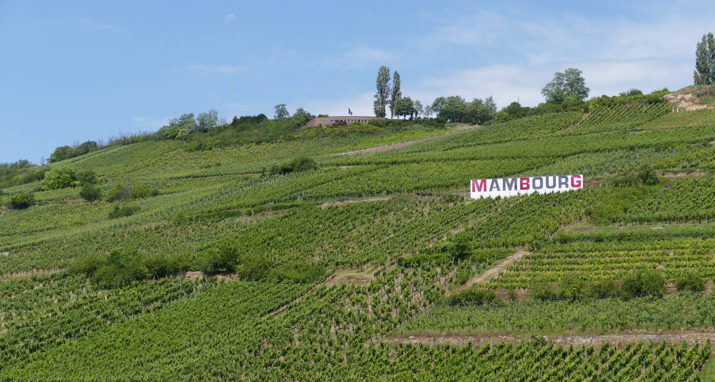 Visiter l'Alsace en 3 jours : les plus beaux villages et la route des vins - 2026 - 6 - visiter l'alsace en 3 jours visiter l'alsace en 3 jours - Visiter l'Alsace en 3 jours : les plus beaux villages et la route des vins - 2026 - 5