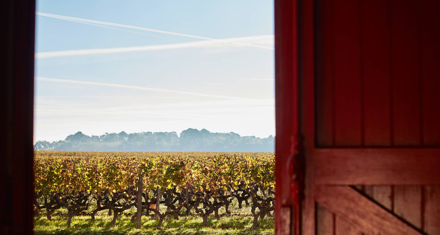 Visiter Bordeaux en 3 jours : Les incontournables de votre itinéraire - 2026 - 24 - visiter bordeaux en 3 jours visiter bordeaux en 3 jours - Visiter Bordeaux en 3 jours : Les incontournables de votre itinéraire - 2026 - 23