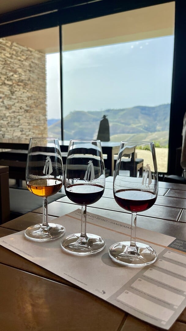 TOP 15 Wineries in the Douro Valley to visit - 2026 - 7 - Douro valley wineries Quinta Do Seixo – Valença do Douro (4)